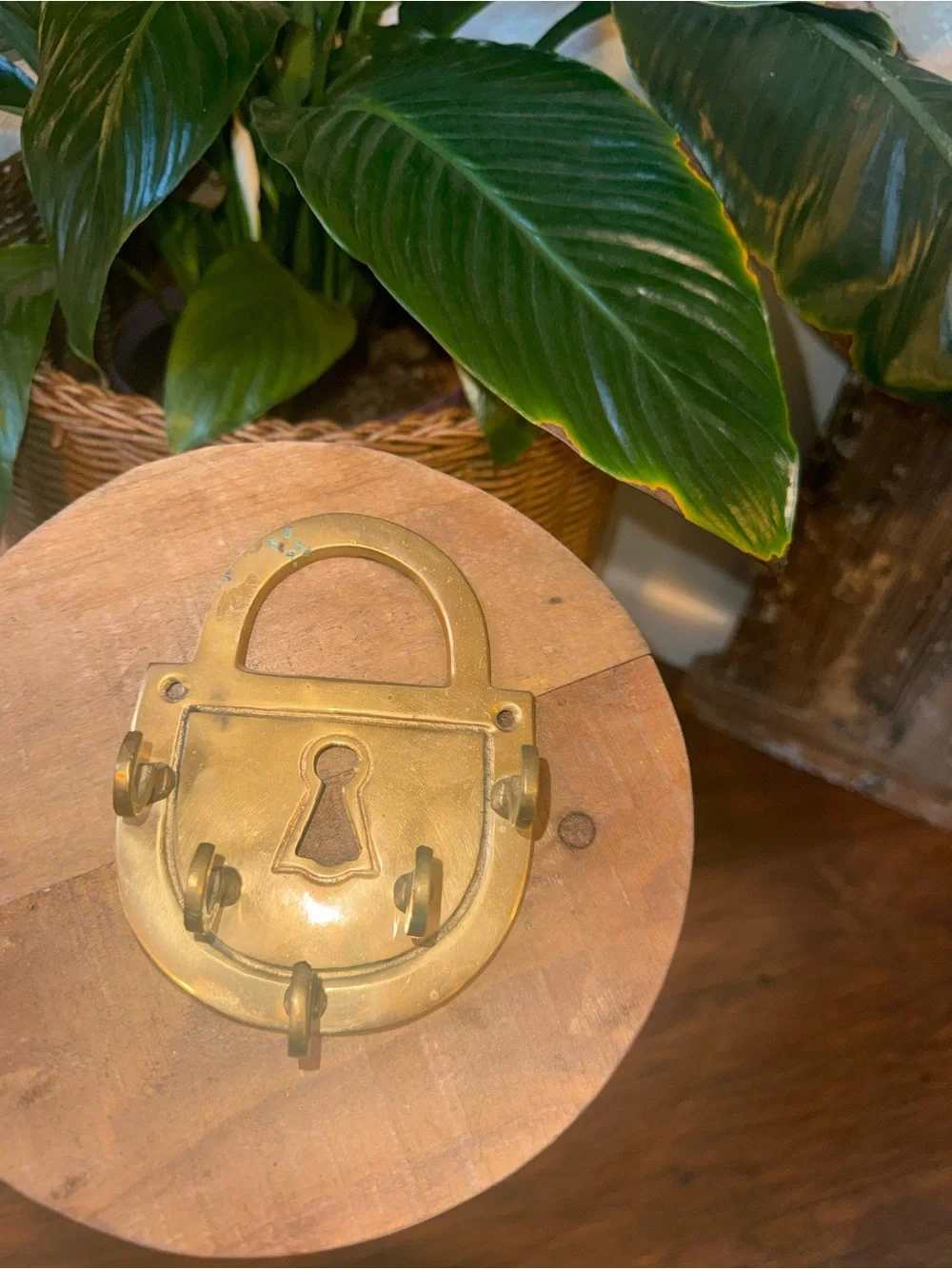 Vintage Brass Lock Key Holder With Hooks, Unique 5